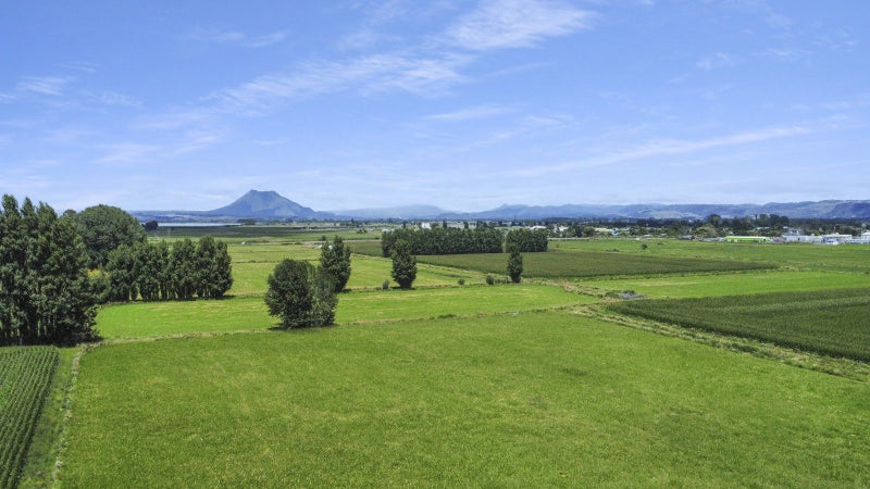 Image 1 of 14