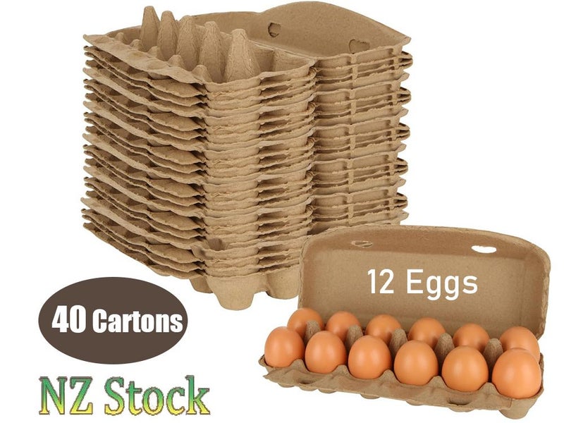 Egg Cartons (Auckland Stock) Carousel 1