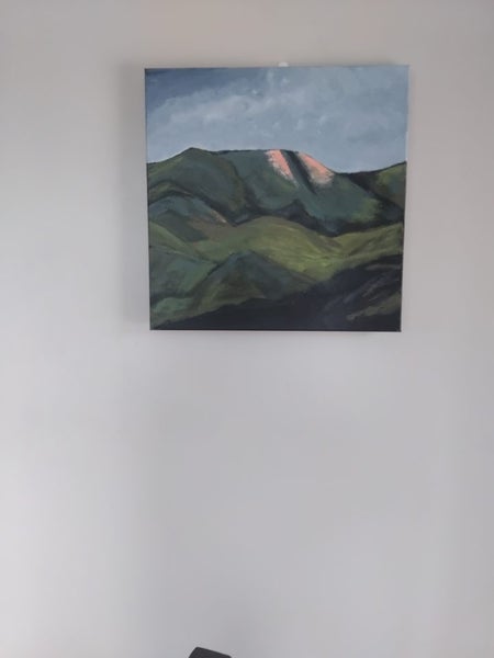 The Hills down Southland by kiwi artist Carousel 8