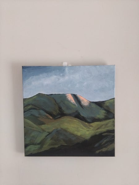 The Hills down Southland by kiwi artist Carousel 2