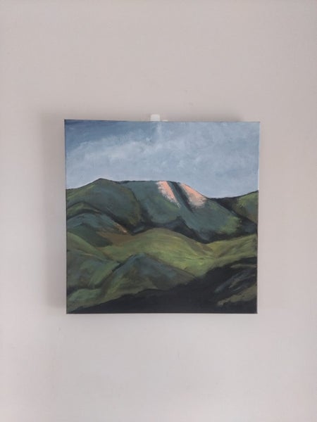 The Hills down Southland by kiwi artist Carousel 1