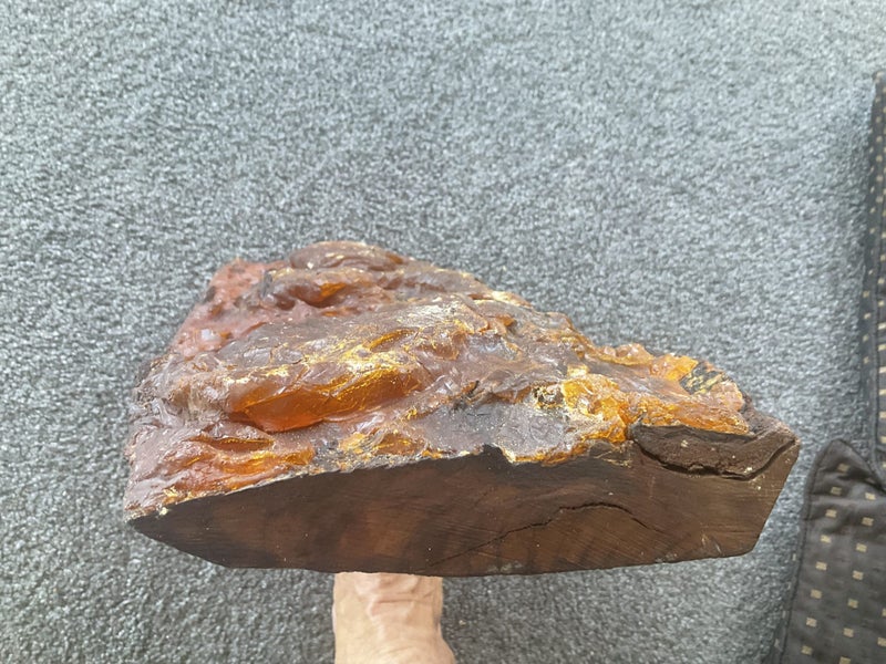 KAURI GUM ON WOOD Carousel 2