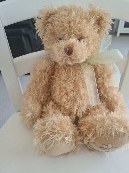 Settler bear Carousel 1