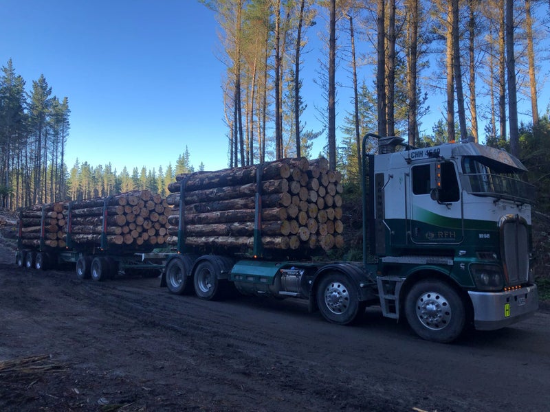 Rotorua Forest Haulage Ltd Carousel 2