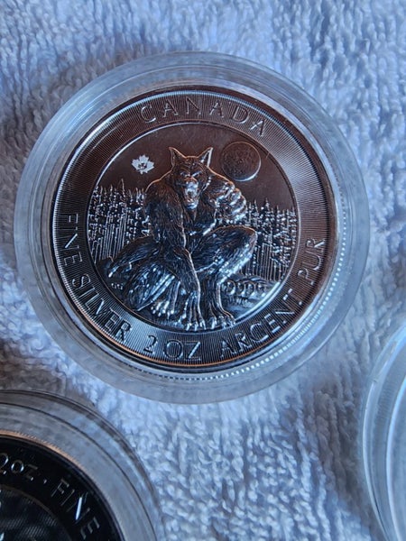 2oz Silver coins Carousel 2