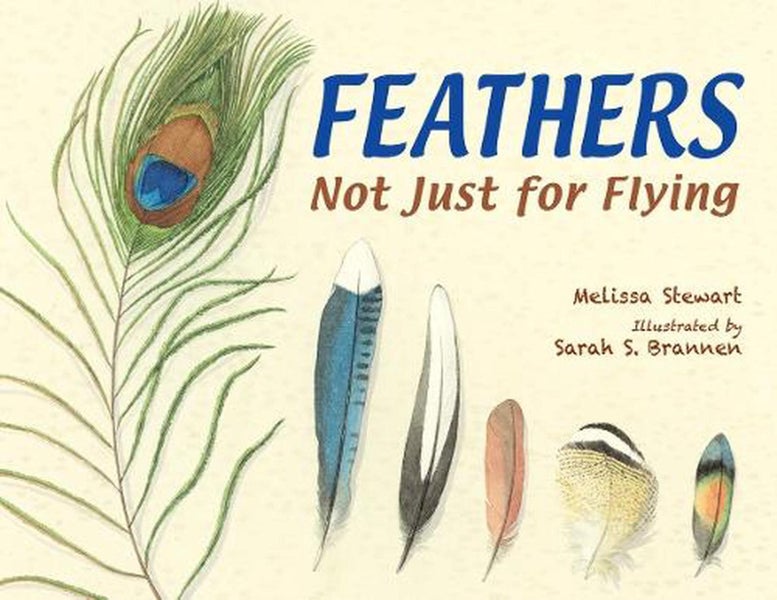 Feathers by Melissa Stewart - Paperback Carousel 1