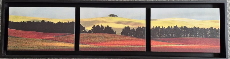 Peter Latham “Late Harvest” Carousel 1