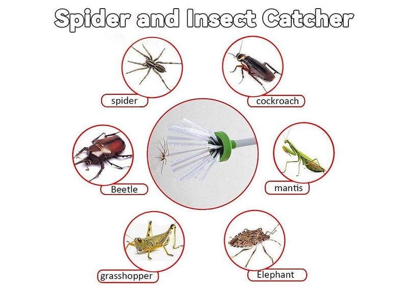 Spider and Insect Catcher - Harmless Carousel 11