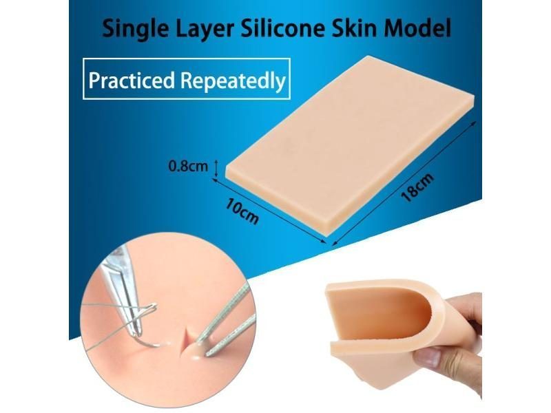 Skin And Hair 4D Master Puzzle Assembling Toy Human Body Organ Anatomical Model Carousel 2