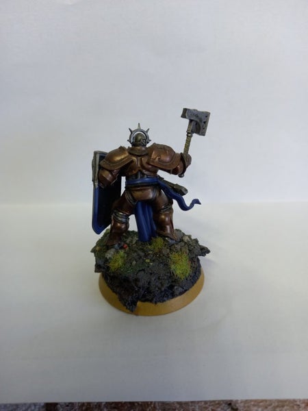 Warhammer age of sigma model painted Carousel 2
