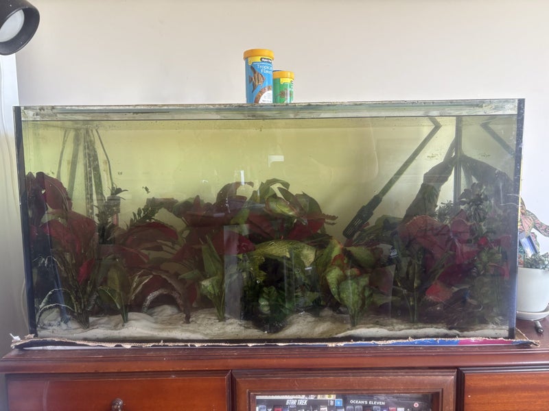 150L fish tank set up Carousel 1