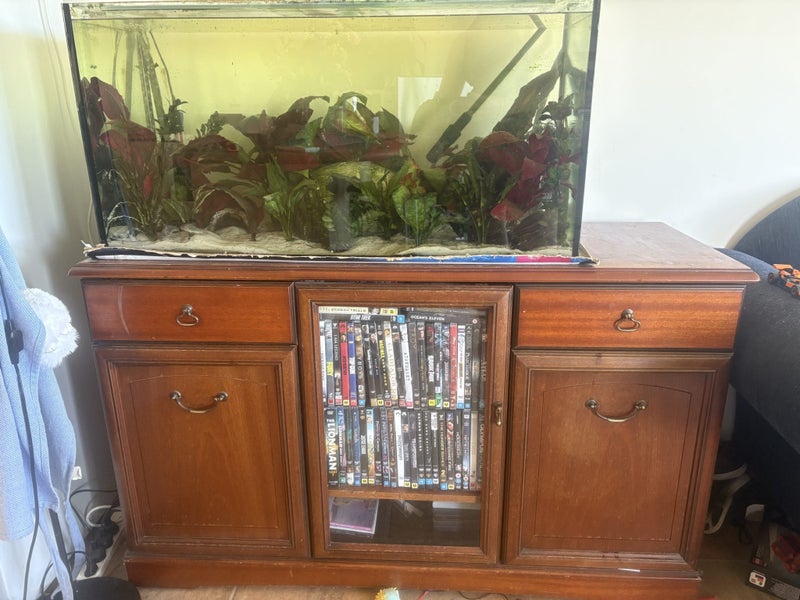 150L fish tank set up Carousel 2
