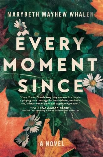 Every Moment Since By Marybeth Mayhew Whalen ISBN 9781400345021 Carousel 1