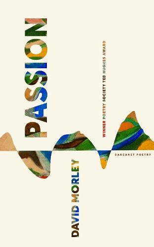 Passion By David Morley ISBN 9781800174818 Carousel 1