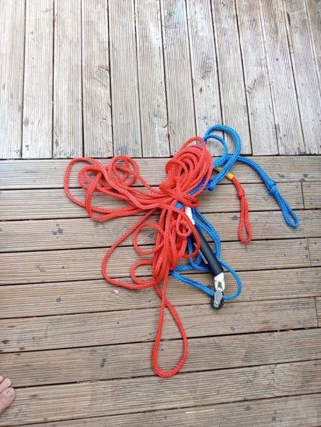 Sea Buscuit and Tow rope Carousel 2