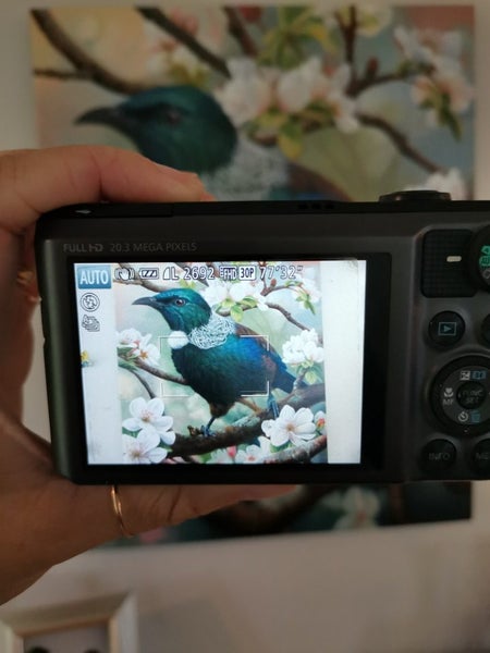 Canon Powershot SX720 HS Camera Carousel 2