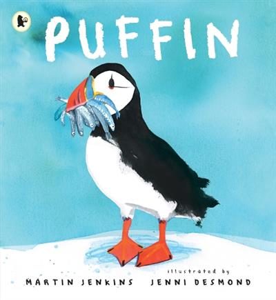 Puffin By Martin Jenkins ISBN 9781529513639 Carousel 1