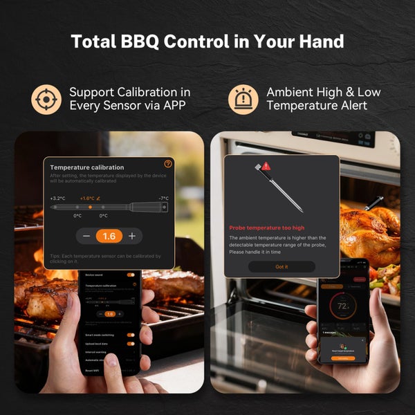 Wireless Meat Thermometer INKBIRD INT-31-BW Carousel 11