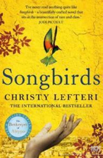 Christy Lefteri: Songbirds Carousel 1