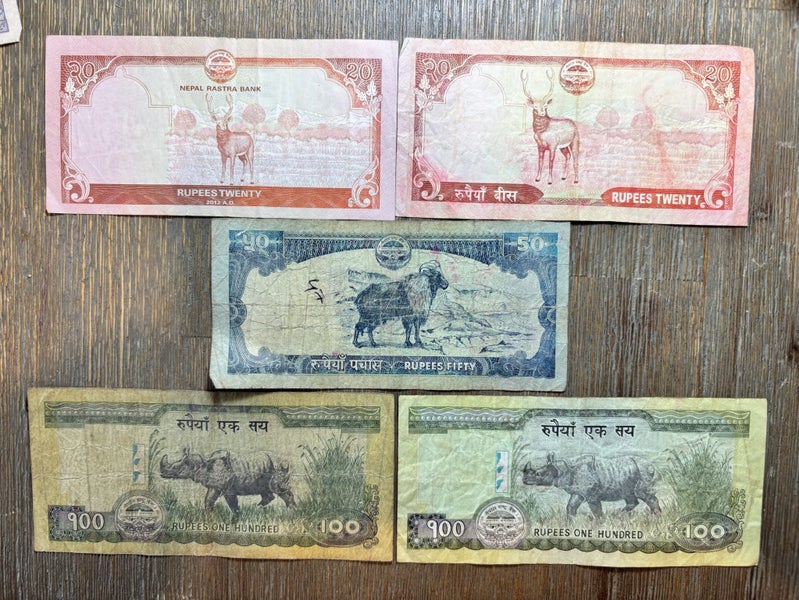 Banknotes from Nepal Carousel 1