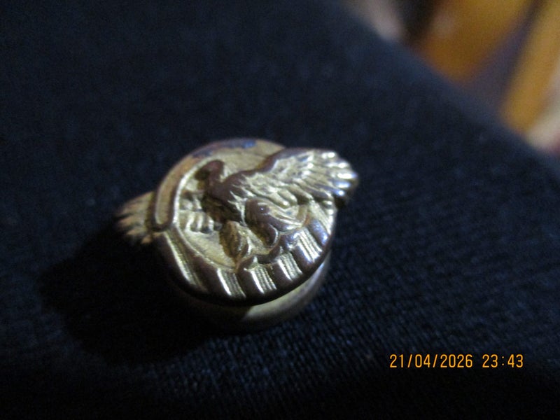 WWll USA honourable service lapel button ( ruptured duck) Carousel 1