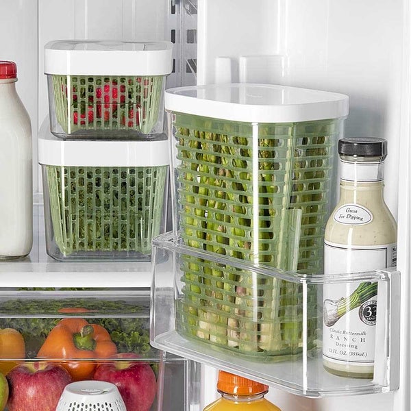 OXO Greensaver Herb Keeper Large Carousel 2