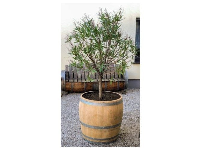 Oak Wine Barrel Three Quarter Carousel 2