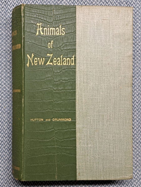 Hutton & Drummond - ANIMALS OF NEW ZEALAND 1904 #3048 Carousel 1