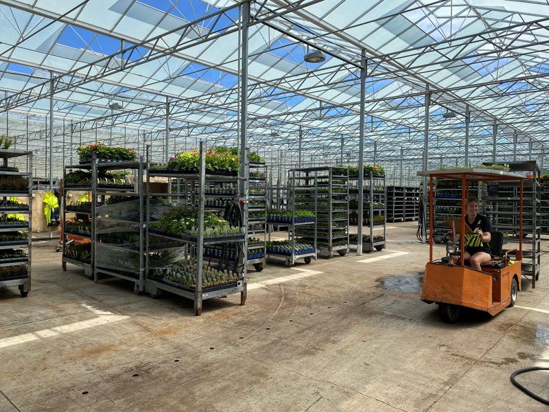 Zealandia Horticulture Carousel 1