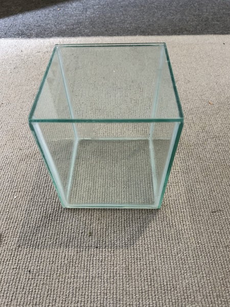 Glass fish tank Carousel 4