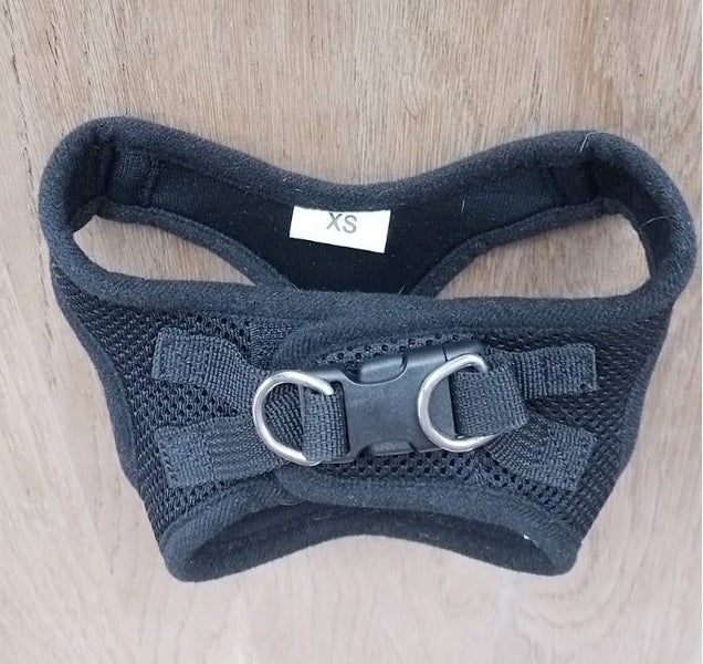 VOYAGER Size XS - Dog Harness, black, padded Carousel 2