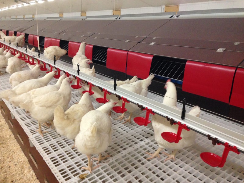 PPP INDUSTRIES LIMITED Carousel 3