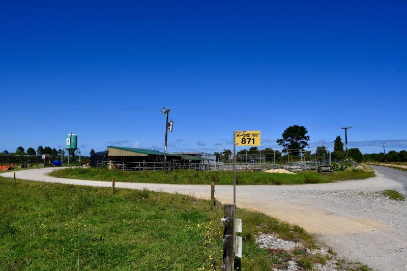 Image 1 of 31
