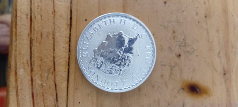 BRITTANNIA "2020" 1oz Carousel 4