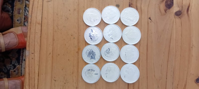 BRITTANNIA "2020" 1oz Carousel 2