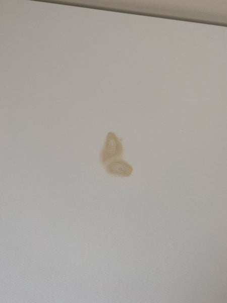 Mocka White Trestle Desk Carousel 5