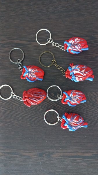Anatomical heart keyrings - very realistic! Carousel 1
