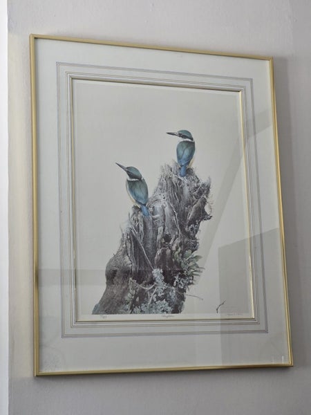 Limited Edition Raymond Harris-Ching "Kingfishers" Framed Print - 785/850 Carousel 1