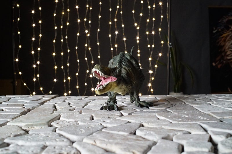 Pentax Super Multi Coated Takumar 35mm F3.5 M42 Vintage Lens Carousel 12