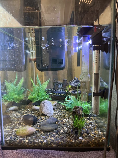 Full fish tank setup 70L Carousel 2