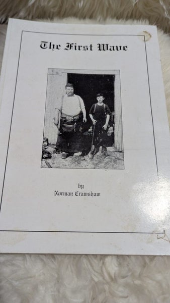 The first wave Carousel 1