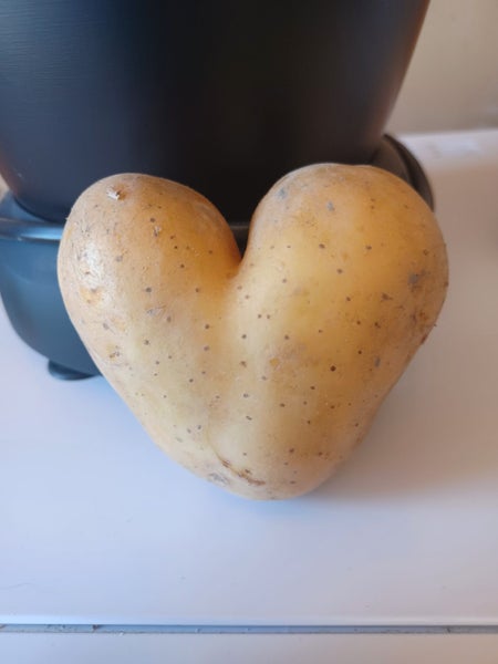 Valentines Heart potato Carousel 1