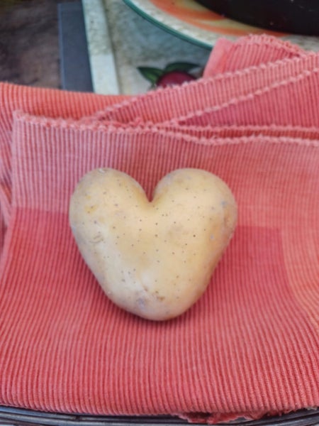 Valentines Heart potato Carousel 2