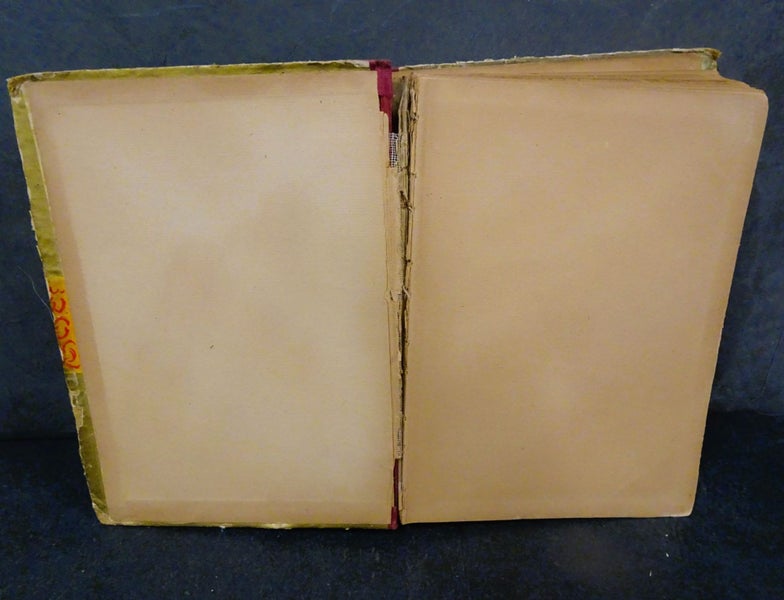 Our Boys and Girls at Home – W.B. Conkey Co c1890s Carousel 2