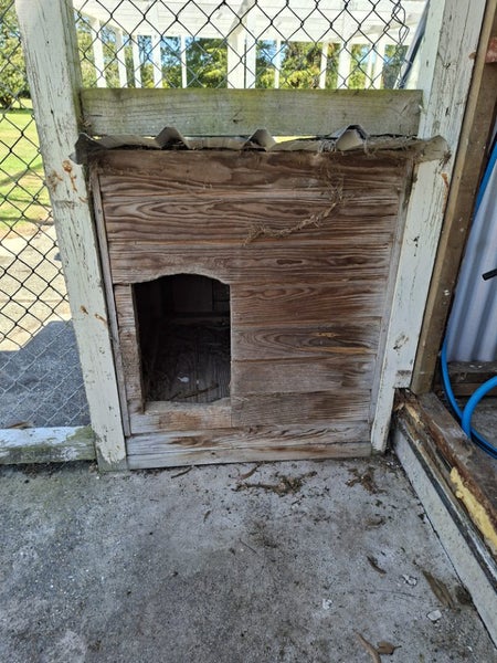 Dog Kennel Carousel 2