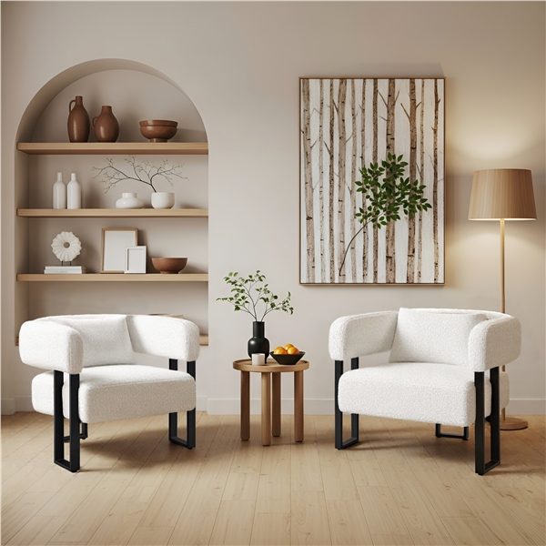 2pcs Accent Chair Armchair Carousel 17