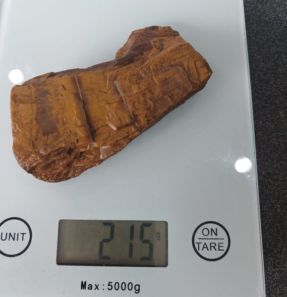 Petrified wood New Zealand a piece of nature’s treasure. Carousel 2