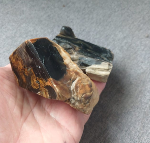 Petrified wood New Zealand a piece of nature’s treasure. Carousel 1
