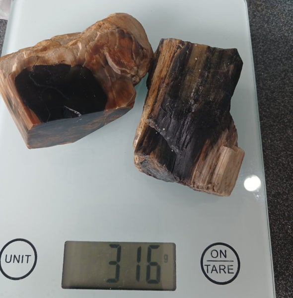 Petrified wood New Zealand a piece of nature’s treasure. Carousel 2