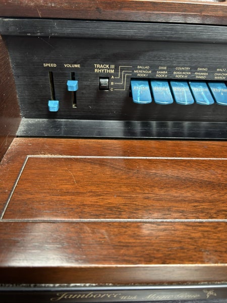 Electronic organ Carousel 5